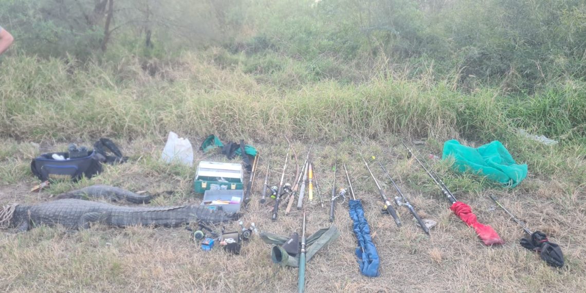 En un control vial, la policía secuestró ejemplares de yacaré y elementos de pesca