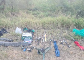 En un control vial, la policía secuestró ejemplares de yacaré y elementos de pesca