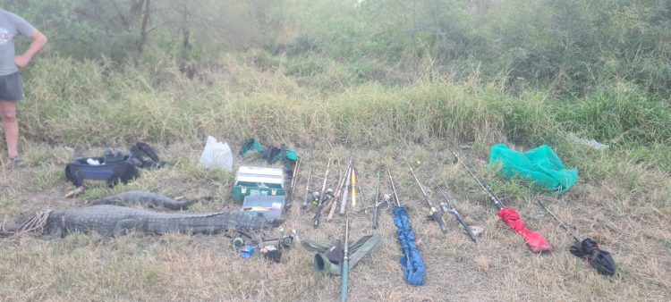 En un control vial, la policía secuestró ejemplares de yacaré y elementos de pesca