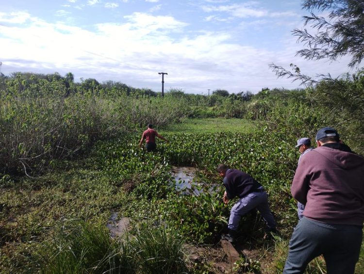 Buscan a una mujer que desapareció hace más de tres semanas