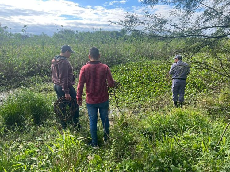 Buscan a una mujer que desapareció hace más de tres semanas