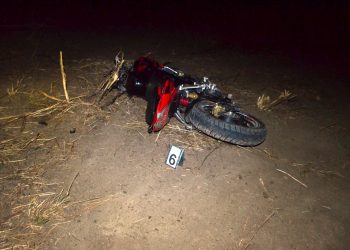 Adolescente falleció tras chocar animal vacuno en la ruta 9, iba de acompañante en una moto