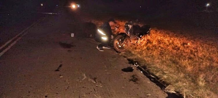 Adolescente falleció tras chocar animal vacuno en la ruta 9, iba de acompañante en una moto