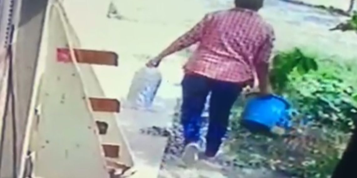 La “robaplantas” del barrio San Isidro atacó otra vez