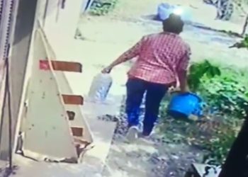 La “robaplantas” del barrio San Isidro atacó otra vez