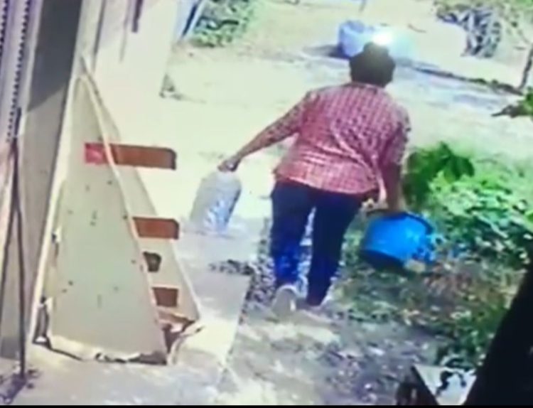 La “robaplantas” del barrio San Isidro atacó otra vez