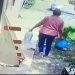 La “robaplantas” del barrio San Isidro atacó otra vez