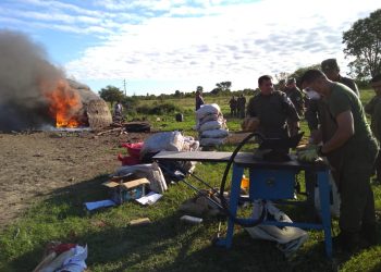 Quemarán casi 6 mil kilos de marihuana incautada en procedimientos contra el narcotráfico