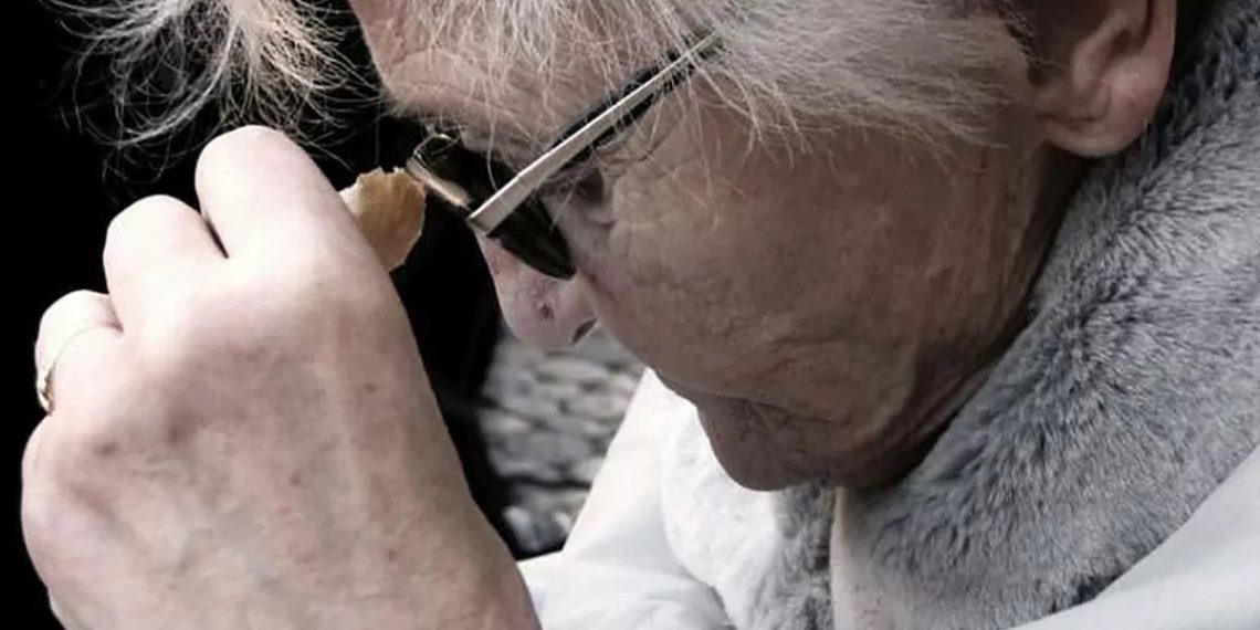 Alzheimer: una forma original de comprender y acompañar a quienes presentan la enfermedad