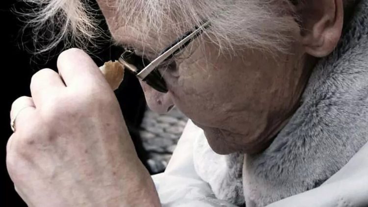 Alzheimer: una forma original de comprender y acompañar a quienes presentan la enfermedad