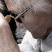 Alzheimer: una forma original de comprender y acompañar a quienes presentan la enfermedad