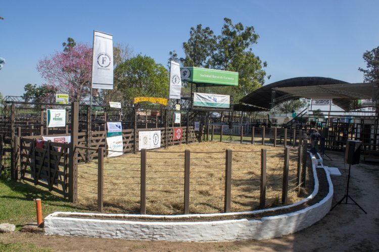 Se larga la Expo Formosa 2023