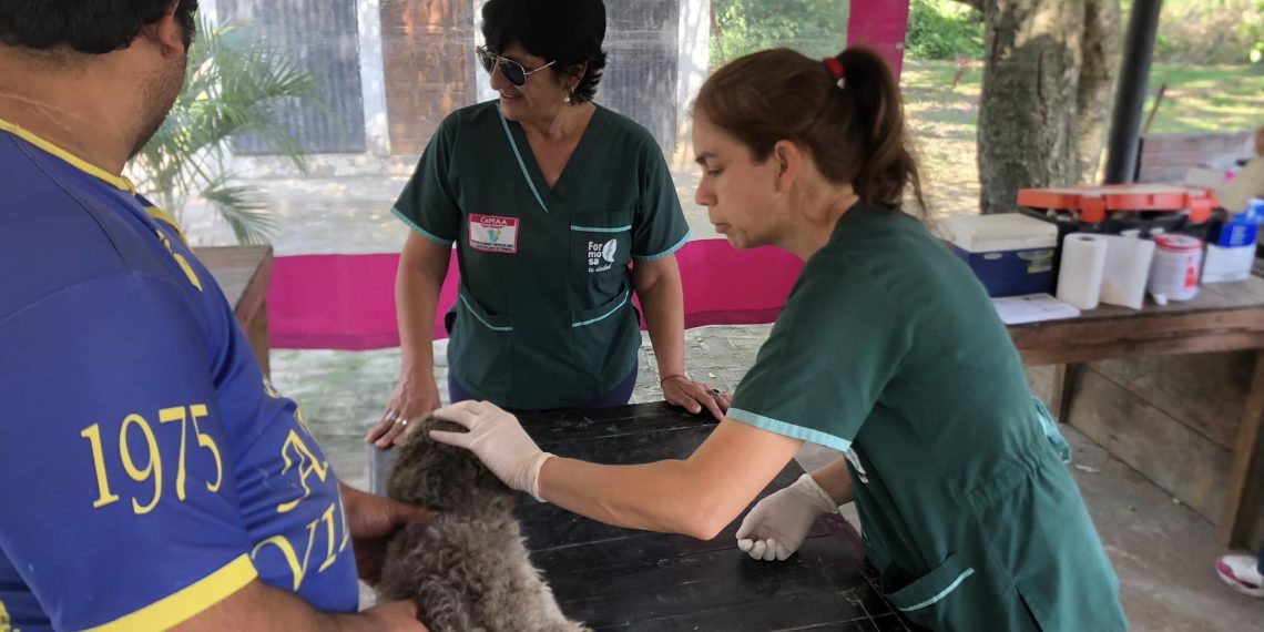 El Municipio concluirá con la campaña de vacunación antirrábica en el barrio Vial
