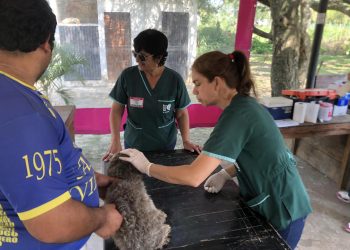 El Municipio concluirá con la campaña de vacunación antirrábica en el barrio Vial
