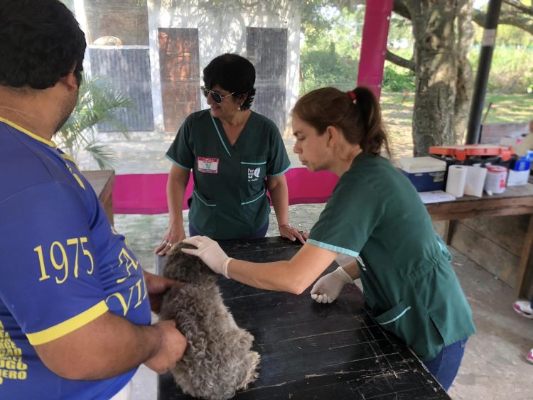 El Municipio concluirá con la campaña de vacunación antirrábica en el barrio Vial