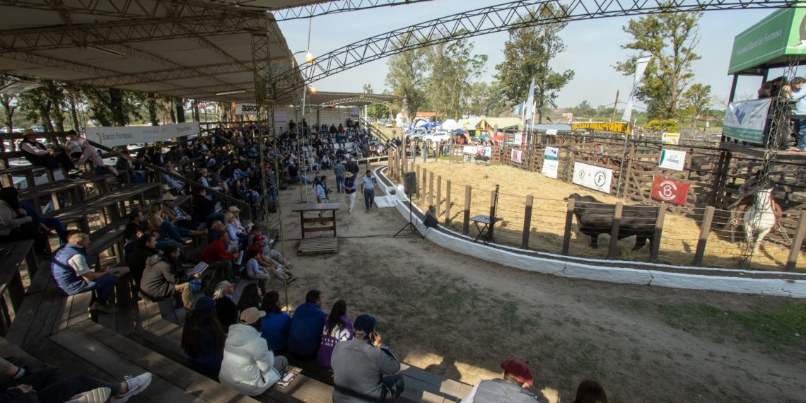 Se larga la Expo Formosa 2023