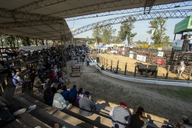 Se larga la Expo Formosa 2023