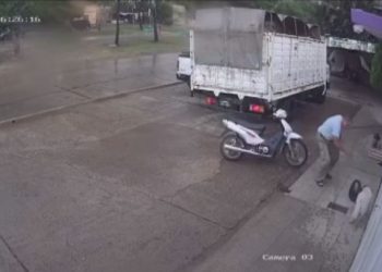 Un hombre le quebró la cadera a una perra y generó repudio en las redes sociales