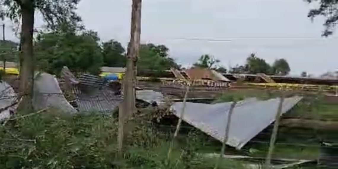 La Granja Kelly, afectada por el temporal, regaló gallinas a vecinos y empleados