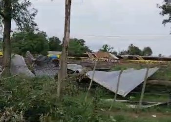 La Granja Kelly, afectada por el temporal, regaló gallinas a vecinos y empleados