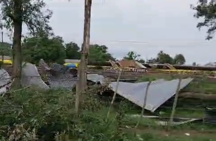 La Granja Kelly, afectada por el temporal, regaló gallinas a vecinos y empleados