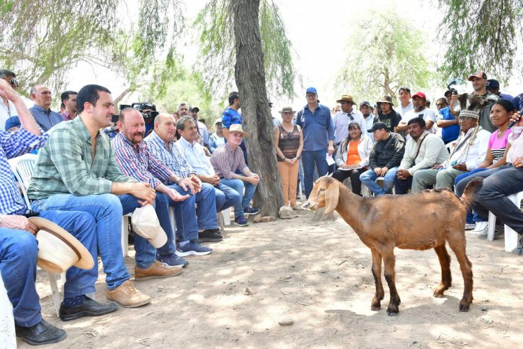 Insfrán: “Sergio Massa es el único que garantiza que la Argentina siga siendo Argentina”