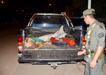 GN detectó dos matafuegos con 21 kilos de ketamina en su interior: hay tres detenidos