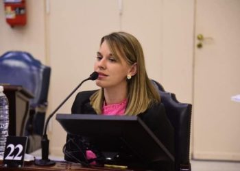 Zaiser pidió a REFSA que informe sobre la situación de provisión de energía eléctrica en Formosa