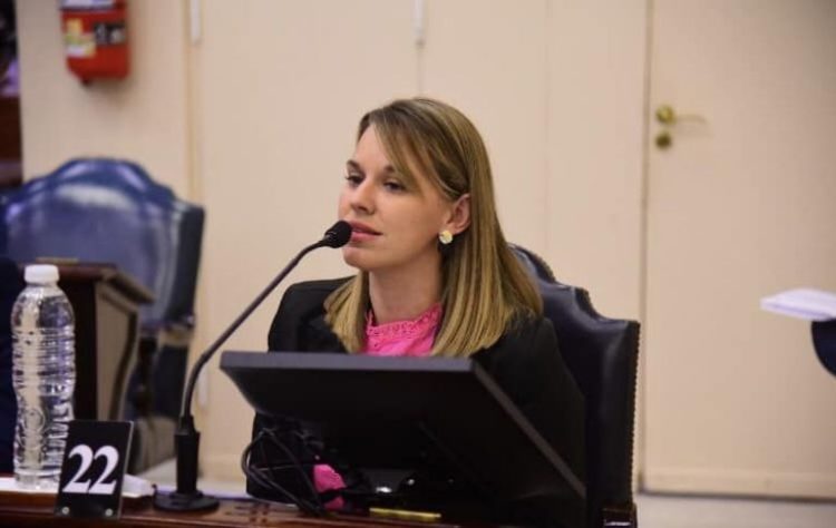 Zaiser pidió a REFSA que informe sobre la situación de provisión de energía eléctrica en Formosa