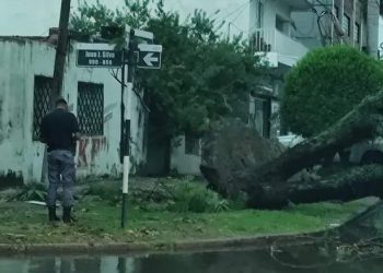 Murió un bebé de un año por el temporal en Formosa: le cayó un árbol a una precaria casa