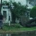 Murió un bebé de un año por el temporal en Formosa: le cayó un árbol a una precaria casa