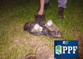 Detuvieron a dos hombres que hurtaron 24 placas de bronce de dos cementerios