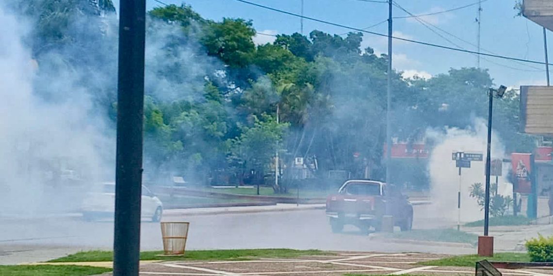 Dengue: Debido al aumento de casos, instan a tomar medidas preventivas para combatir la enfermedad