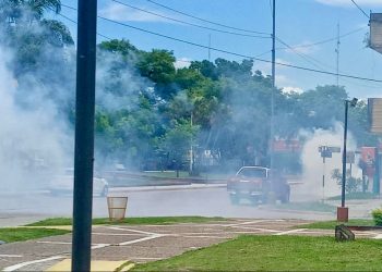 Dengue: Debido al aumento de casos, instan a tomar medidas preventivas para combatir la enfermedad