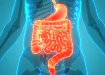 La grasa alrededor del páncreas podría aumentar las probabilidades de padecer Alzheimer, según un estudio