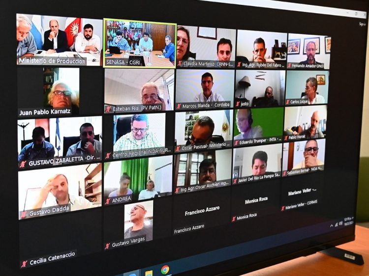 Detectan una manga de langostas en la zona de Las Lomitas