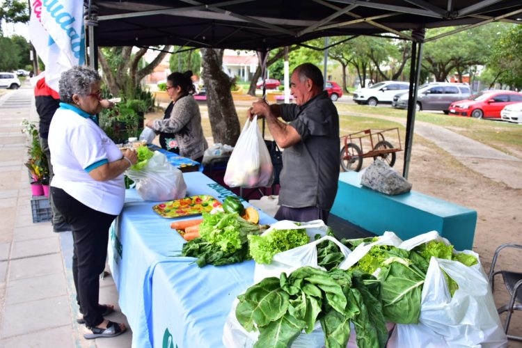 Esta semana se activa nuevamente la venta de los bolsones saludables