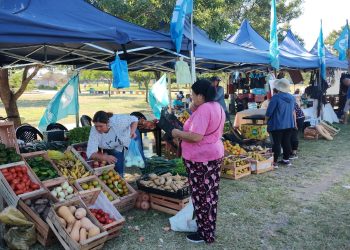 El mercado itinerante se traslada este jueves a la Jurisdicción Cinco