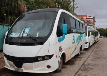 Se suma una nueva línea al servicio Punto a Punto en la ciudad