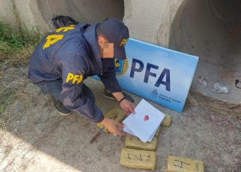 La Policía Federal secuestró droga por más de 8 millones de pesos en Curuzú La Novia