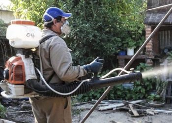 Se registraron 697 casos positivos de dengue en la última semana