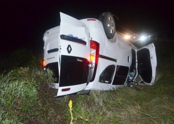 Una mujer chocó un búfalo con una Kangoo, iba con los hijos y un abuelo: todos ilesos