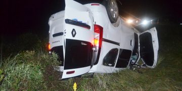 Una mujer chocó un búfalo con una Kangoo, iba con los hijos y un abuelo: todos ilesos