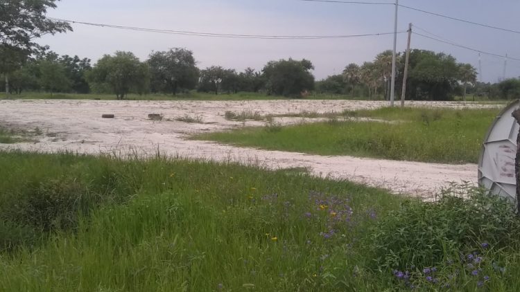 Padres acondicionan un colegio para iniciar el ciclo lectivo