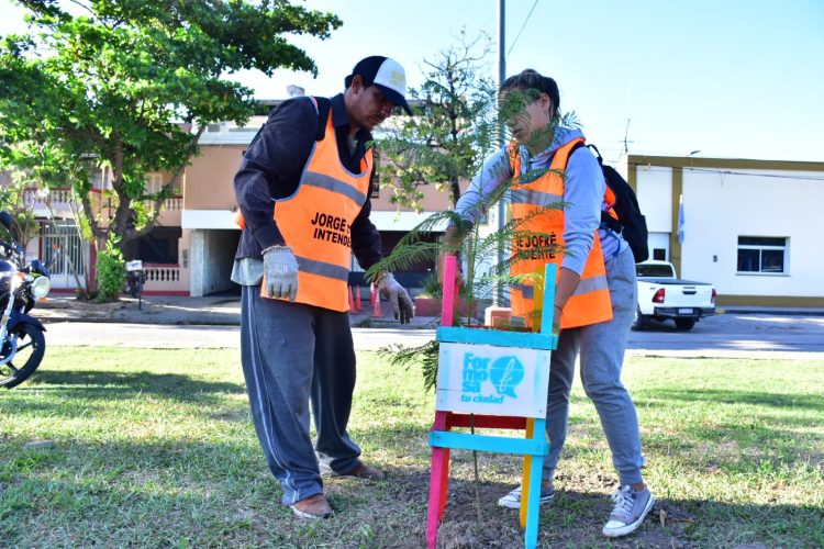 El Municipio regalará a vecinos dos plantines en el marco de campaña para reverdecer la ciudad