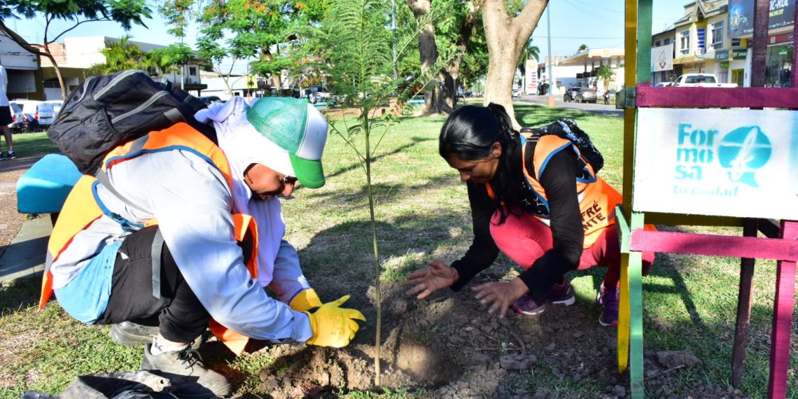 El Municipio regalará a vecinos dos plantines en el marco de campaña para reverdecer la ciudad