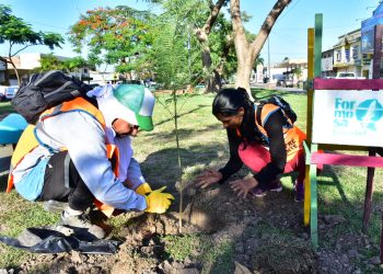 El Municipio regalará a vecinos dos plantines en el marco de campaña para reverdecer la ciudad