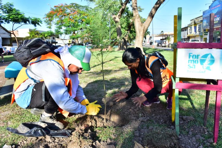 El Municipio regalará a vecinos dos plantines en el marco de campaña para reverdecer la ciudad