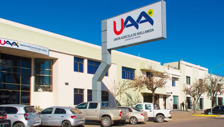 «Hora silenciosa»: supermercado baja las luces y apaga la música para generar un entorno tranquilo a personas con autismo