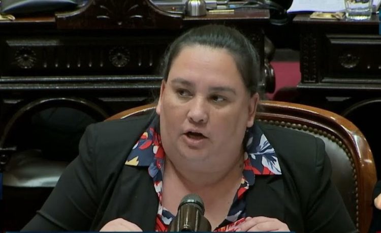 Parola a Paoltroni: «Debe capacitarse para no pasar vergüenza cada vez que le ponen un micrófono adelante”